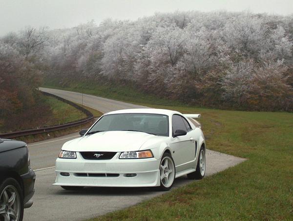 SN 95 Project Car, what mods worked for me......-000_0255.jpg