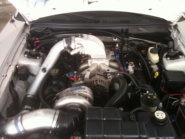New Here and this is my car.-img_0523.jpg