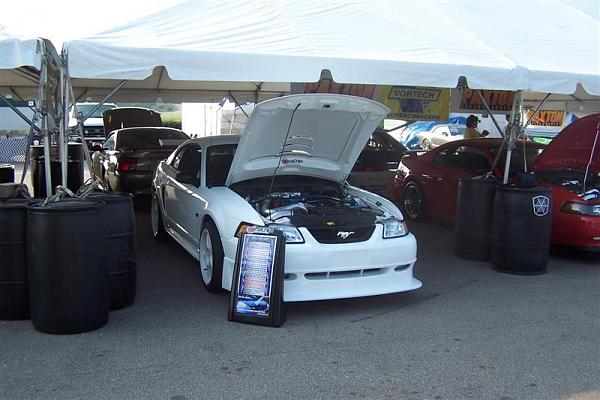 carshow pic of my mustang-100_1218-medium-.jpg