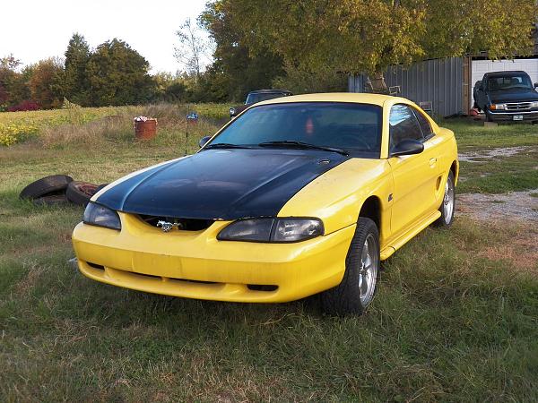 Pics of the 17 year old Stallion grazing-101_0110.jpg