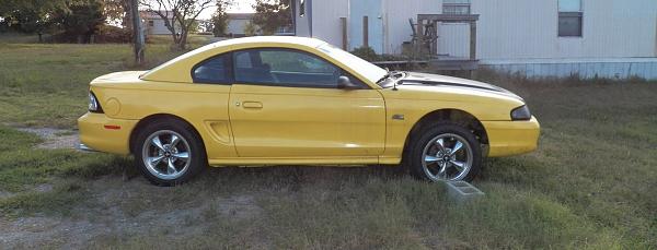 Pics of the 17 year old Stallion grazing-101_0111.jpg