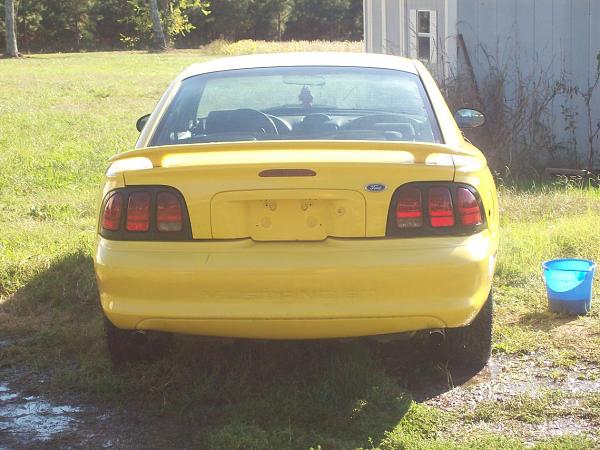 Pics of the 17 year old Stallion grazing-94tailafter.jpg