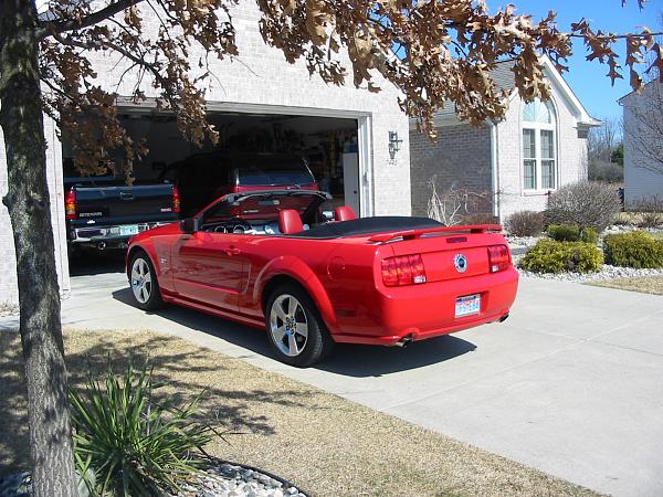 How Many Vert Owners are Dusting off their Babies For Spring?-img_4356.jpg