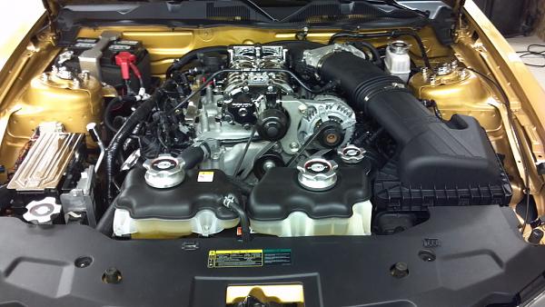 Roush M90 or Tvs2300?-roush-charged.jpg