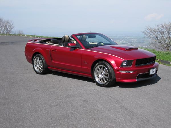 How Many Vert Owners are Dusting off their Babies For Spring?-img_0964.jpg