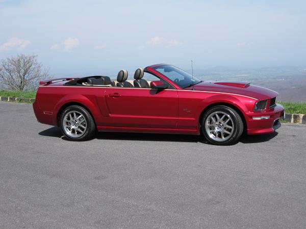 2005-2009 Ford Mustang S-197 Gen 1 Photo Gallery Lets see your latest pics!!!-img_0962.jpg
