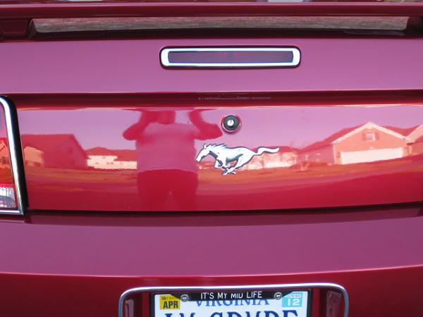 2005-2009 Ford Mustang S-197 Gen 1 Photo Gallery Lets see your latest pics!!!-img_0807.jpg
