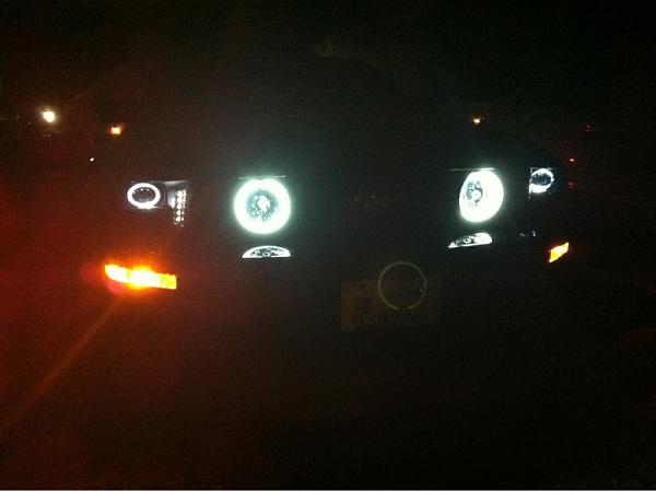 Halo Head lamps-image-3620131825.jpg