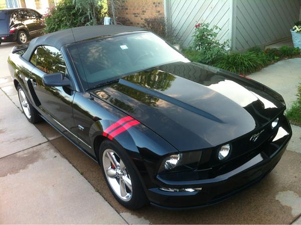 2005-2009 Ford Mustang S-197 Gen 1 Photo Gallery Lets see your latest pics!!!-image-691581541.jpg
