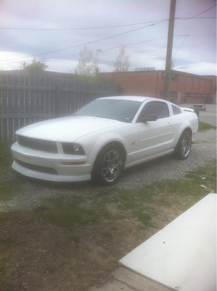 2005-2009 Ford Mustang S-197 Gen 1 Photo Gallery Lets see your latest pics!!!-image-2778304348.jpg