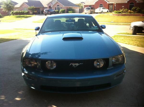 2005-2009 Ford Mustang S-197 Gen 1 Photo Gallery Lets see your latest pics!!!-image-2931471299.jpg