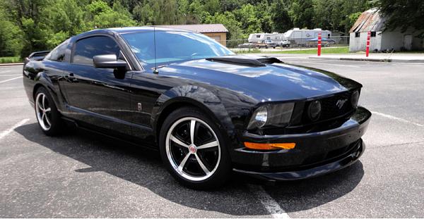 2005-2009 Ford Mustang S-197 Gen 1 Photo Gallery Lets see your latest pics!!!-image-378036784.jpg