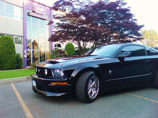 Anyone have a GT with tri-emblem badges on the fenders?-image-3314441152.jpg