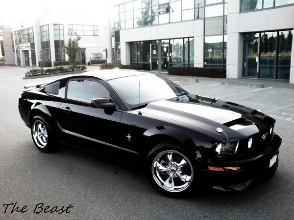 Anyone have a GT with tri-emblem badges on the fenders?-image-901190597.jpg
