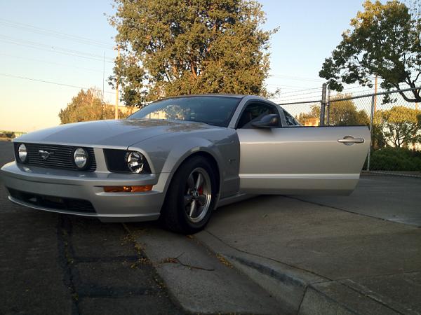 2005-2009 Ford Mustang S-197 Gen 1 Photo Gallery Lets see your latest pics!!!-image-4281301915.jpg