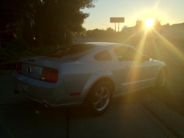 2005-2009 Ford Mustang S-197 Gen 1 Photo Gallery Lets see your latest pics!!!-image-678489625.jpg