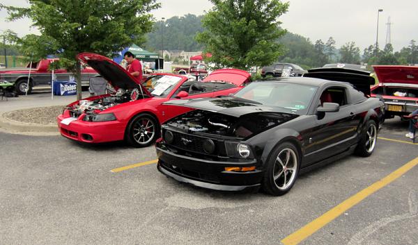 2005-2009 Ford Mustang S-197 Gen 1 Photo Gallery Lets see your latest pics!!!-image-1726472051.jpg
