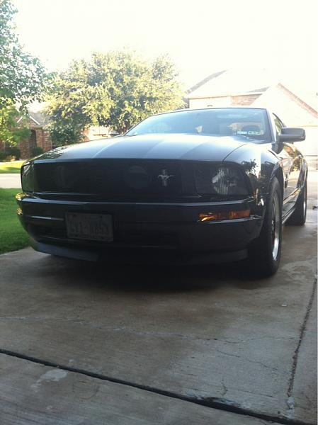 2005-2009 Ford Mustang S-197 Gen 1 Photo Gallery Lets see your latest pics!!!-image-3995162103.jpg