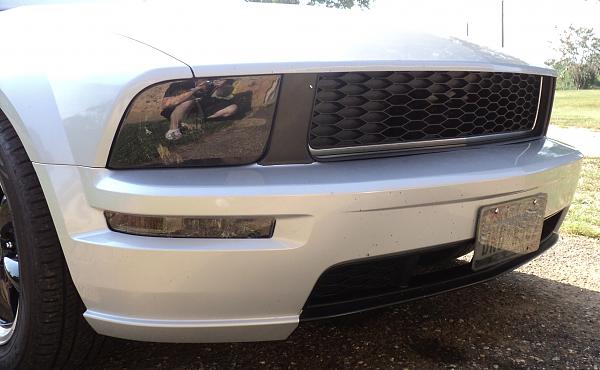 2005-2009 Ford Mustang S-197 Gen 1 Photo Gallery Lets see your latest pics!!!-new-grille2.jpg