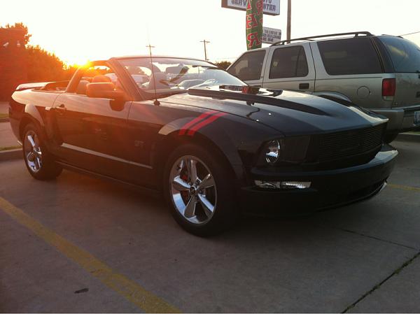 2005-2009 Ford Mustang S-197 Gen 1 Photo Gallery Lets see your latest pics!!!-image-2690228022.jpg