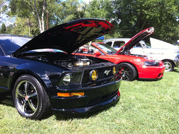 2005-2009 Ford Mustang S-197 Gen 1 Photo Gallery Lets see your latest pics!!!-image-2874801093.jpg