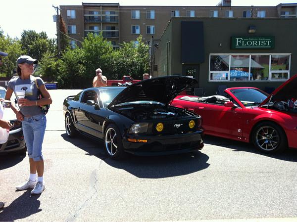 2005-2009 Ford Mustang S-197 Gen 1 Photo Gallery Lets see your latest pics!!!-image-3525063172.jpg