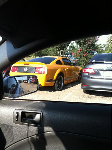 2005-2009 Ford Mustang S-197 Gen 1 Photo Gallery Lets see your latest pics!!!-image-4101333480.jpg