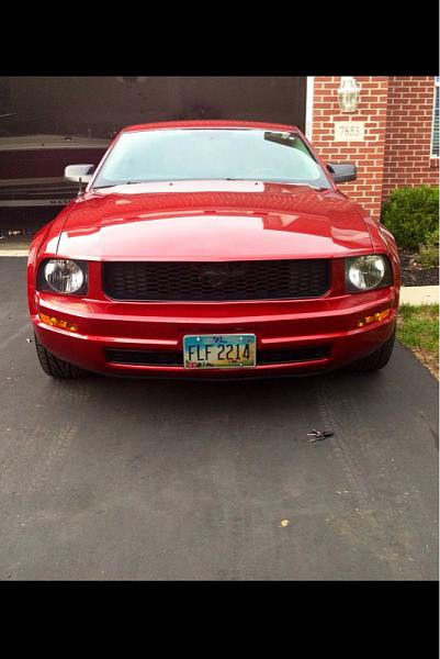2005-2009 Ford Mustang S-197 Gen 1 Photo Gallery Lets see your latest pics!!!-image-3207041219.jpg