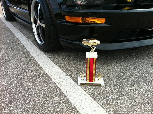 2005-2009 Ford Mustang S-197 Gen 1 Photo Gallery Lets see your latest pics!!!-image-1765145683.jpg