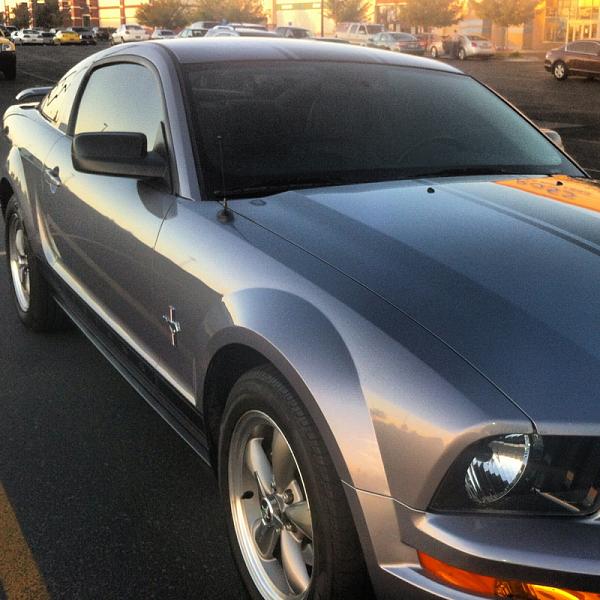 2005-2009 Ford Mustang S-197 Gen 1 Photo Gallery Lets see your latest pics!!!-image-1075758674.jpg