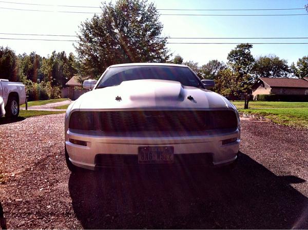 2005-2009 Ford Mustang S-197 Gen 1 Photo Gallery Lets see your latest pics!!!-image-1601781203.jpg