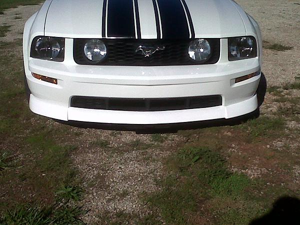 2005-2009 Ford Mustang S-197 Gen 1 Photo Gallery Lets see your latest pics!!!-img-20120921-00101.jpg