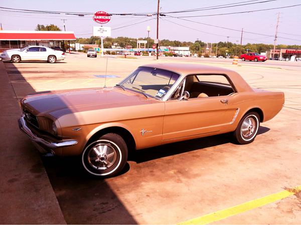 2005-2009 Ford Mustang S-197 Gen 1 Photo Gallery Lets see your latest pics!!!-image-2709854025.jpg