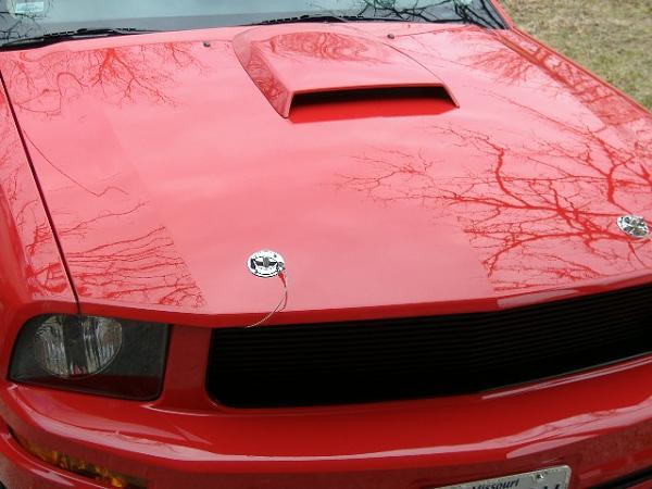 MUSTANG Hood Pins With Pictures!-hood-pins.jpg