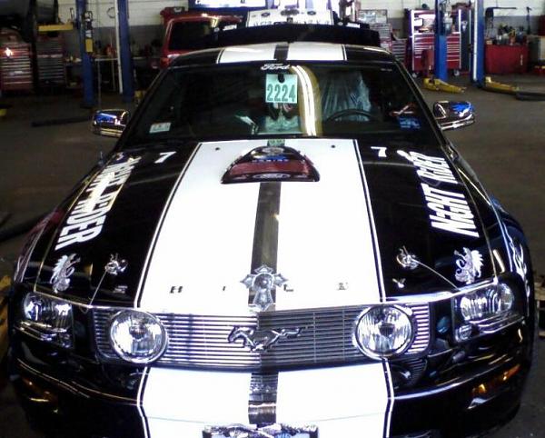 Ultimate Poser-loser-mustang-1.jpg