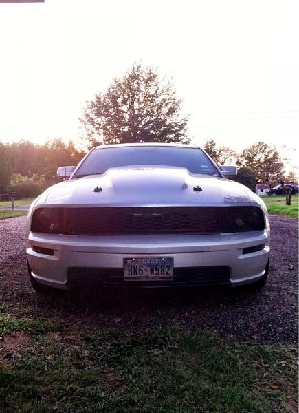 2005-2009 Ford Mustang S-197 Gen 1 Photo Gallery Lets see your latest pics!!!-image-3369081705.jpg