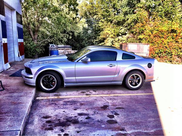 2005-2009 Ford Mustang S-197 Gen 1 Photo Gallery Lets see your latest pics!!!-image-1529291802.jpg