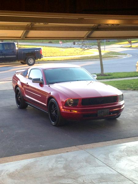 2005-2009 Ford Mustang S-197 Gen 1 Photo Gallery Lets see your latest pics!!!-image-470942950.jpg