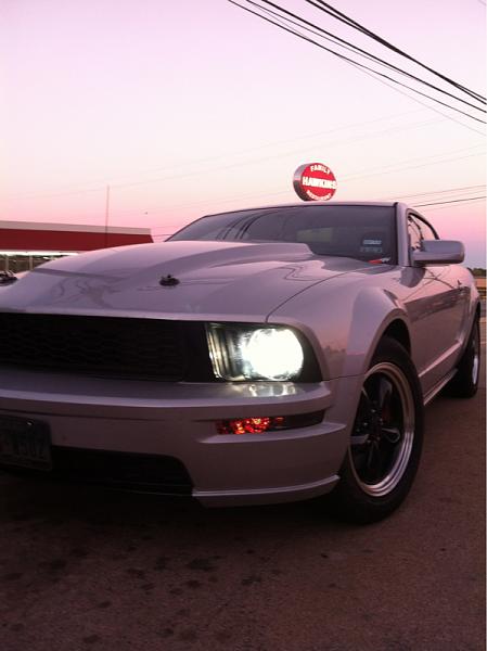 2005-2009 Ford Mustang S-197 Gen 1 Photo Gallery Lets see your latest pics!!!-image-3347548789.jpg