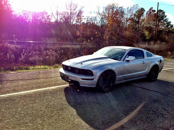 2005-2009 Ford Mustang S-197 Gen 1 Photo Gallery Lets see your latest pics!!!-image-2823725386.jpg