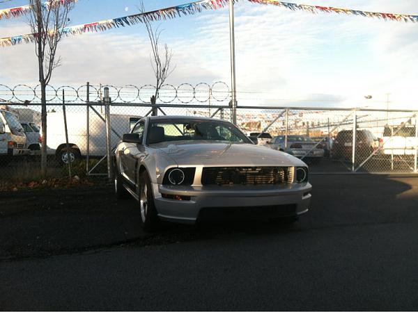 2005-2009 Ford Mustang S-197 Gen 1 Photo Gallery Lets see your latest pics!!!-image-777298614.jpg