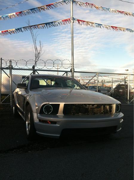 2005-2009 Ford Mustang S-197 Gen 1 Photo Gallery Lets see your latest pics!!!-image-1911717019.jpg