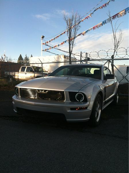 2005-2009 Ford Mustang S-197 Gen 1 Photo Gallery Lets see your latest pics!!!-image-564615496.jpg