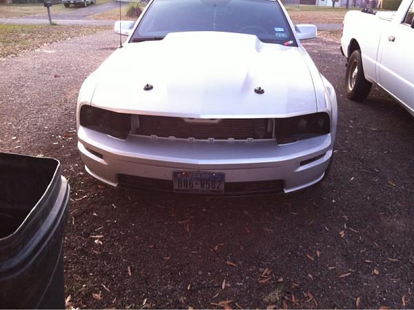 2005-2009 Ford Mustang S-197 Gen 1 Photo Gallery Lets see your latest pics!!!-image-2171883847.jpg