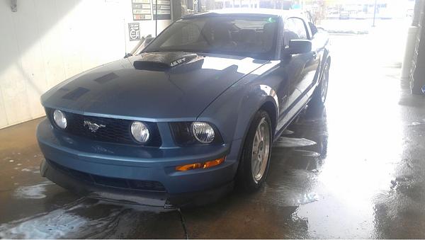 2005-2009 Ford Mustang S-197 Gen 1 Photo Gallery Lets see your latest pics!!!-image-2571702270.jpg