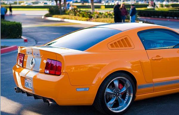 Vote on which rear is the best for me to get-image-1713658440.jpg