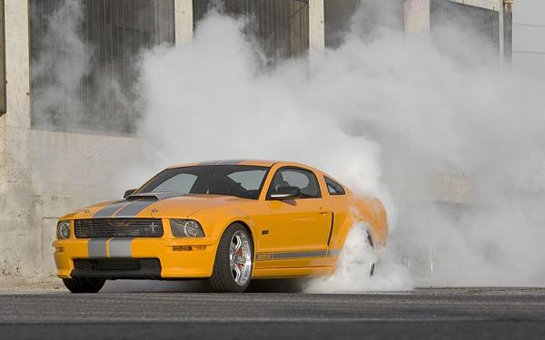 Vote on which rear is the best for me to get-112_0804_14z-tuner_mustangs-shelby_gt_c.jpg