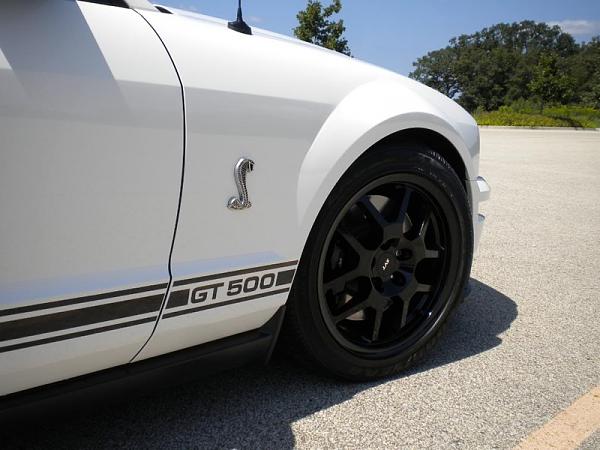 Vote on which rear is the best for me to get-image-1294277588.jpg