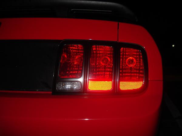Stupidgenius36's Build/Progress Thread-dsc07080.jpg