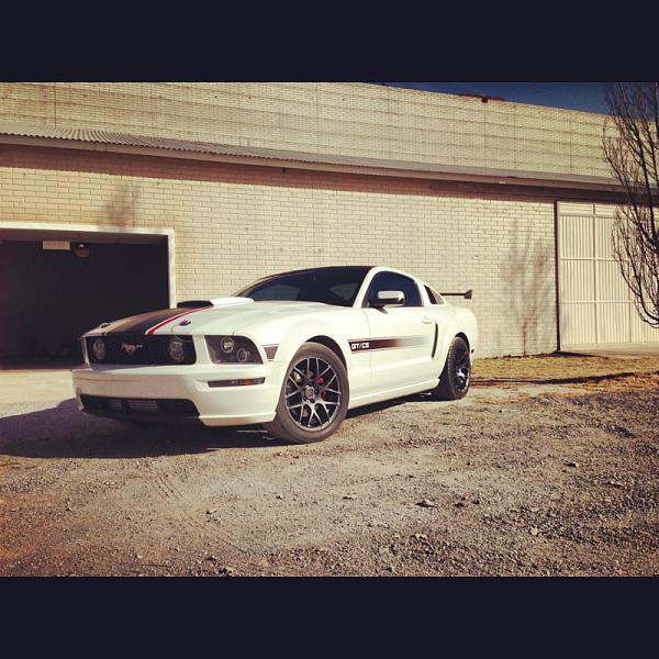 2005-2009 Ford Mustang S-197 Gen 1 Photo Gallery Lets see your latest pics!!!-image-3707565849.jpg